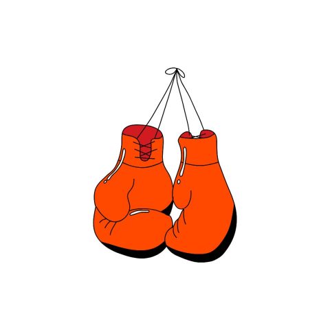 Un double titre de champions de France UNSS pour nos élèves en boxe